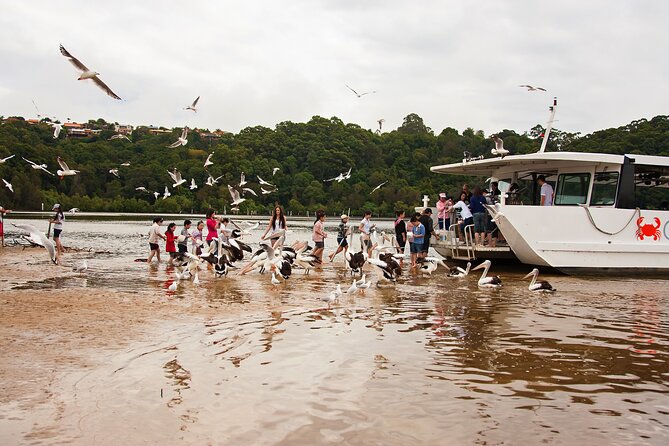 Catch a Crab Tour with Optional Seafood Lunch - Tweed Heads River Morning: What You Actually Do