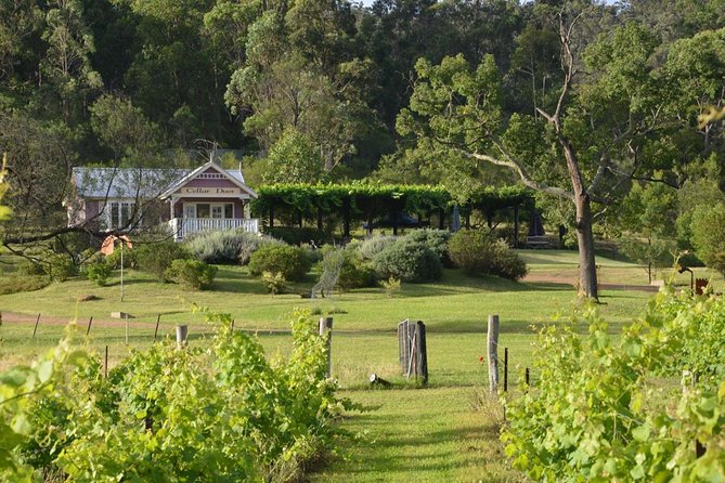 Chef-Led Hunter Valley Gourmet Food and Wine Day Tour from Sydney - Start Smart: Hotel Pickup, Road Commentary, and a Real Day Trip Pace