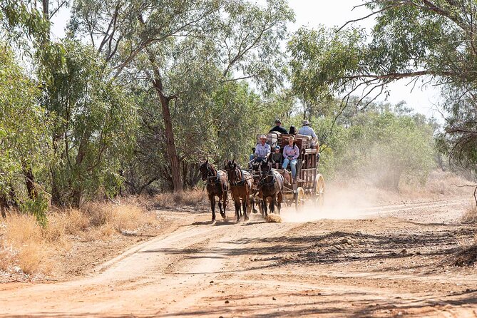 Cobb & Co Stagecoach Experience in Longreach - Longreach stagecoach: why this one feels different