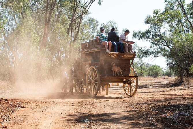 Cobb & Co Stagecoach Experience in Longreach - Smoko in the courtyard: why the scones are more than a snack