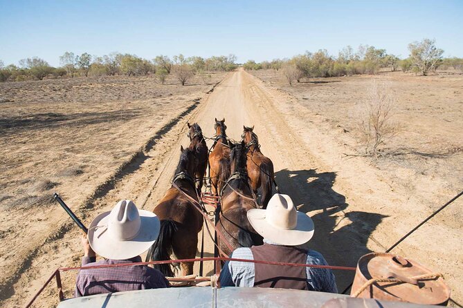 Cobb & Co Stagecoach Experience in Longreach - Station Store movie time: classic bush films with old-style seating