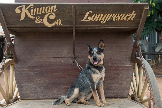 Cobb & Co Stagecoach Experience in Longreach - Price of $118.35: what you really get for the money