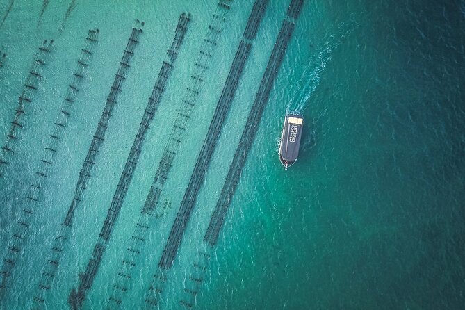 Coffin Bay Day Tour - A Taste of Coffin Bay - Key things to know before you go