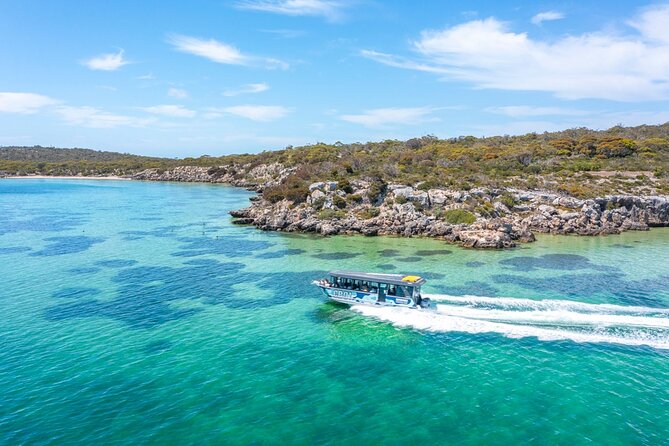 Coffin Bay Day Tour - A Taste of Coffin Bay - Boston Bay Wines: finishing with views and a tasting