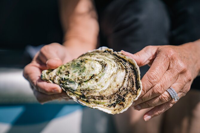 Coffin Bay Day Tour - A Taste of Coffin Bay - Group size, pacing, and what to pack
