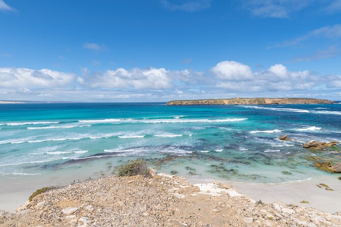 Coffin Bay National Park Half-day 4WD Tour - Coffin Bay National Park in a half-day, why this 4WD format fits