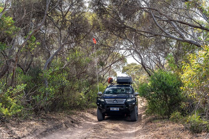 Coffin Bay National Park Half-day 4WD Tour - Small-group touring with pickup, what the experience feels like