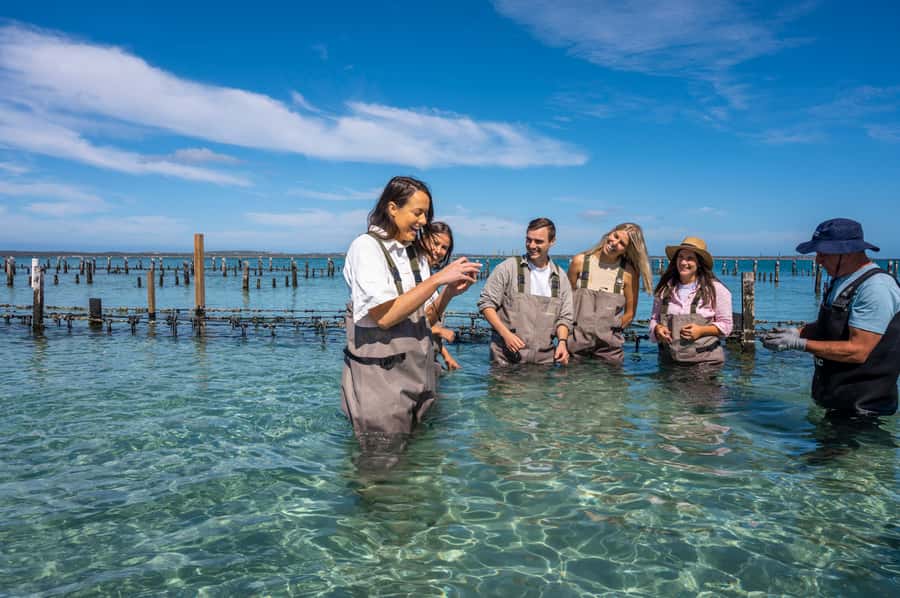 Coffin Bay: Oyster Farm Boat Tour with Wading & 12 Oysters - What to pack so the 3 hours feel easy