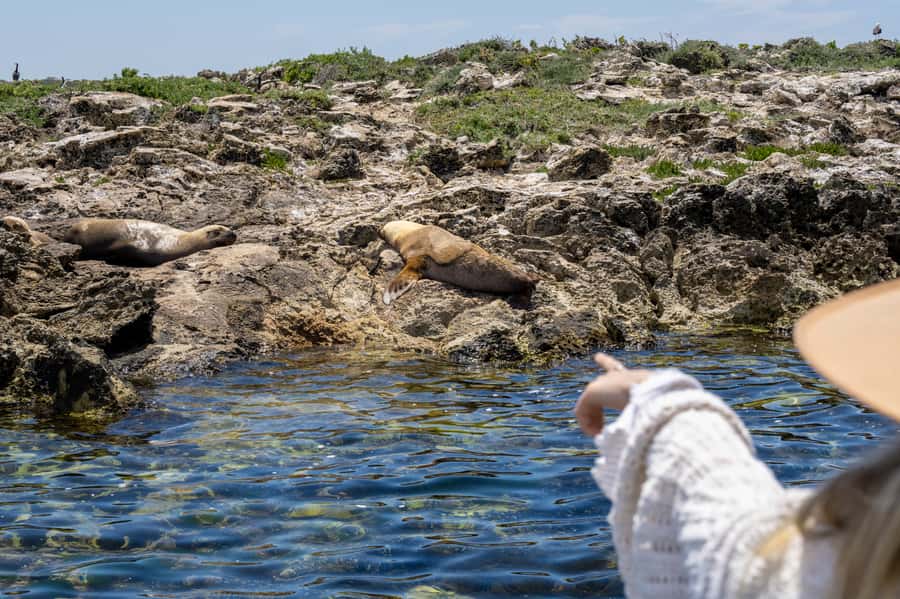 Coffin Bay: Oyster Farm Boat Tour with Wading & 12 Oysters - The viewpoint stop for food and drink tasting