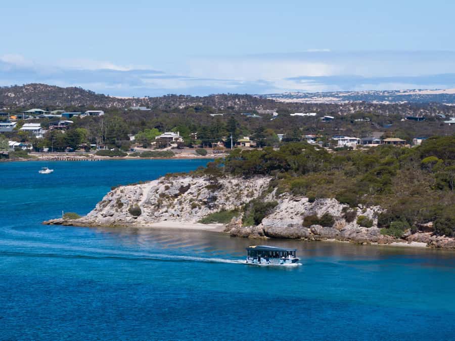 Coffin Bay: Short and Sweet Oyster Farm Tour - Getting to the Experience Coffin Bay boat at the Yacht Club