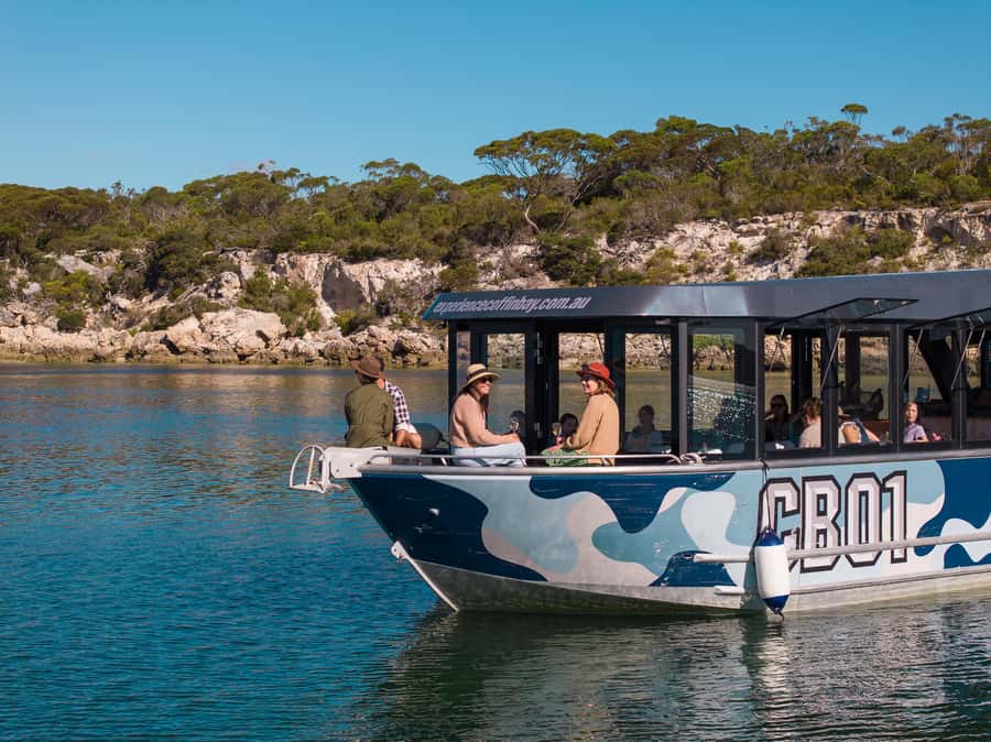 Coffin Bay: Short and Sweet Oyster Farm Tour - Shucking and tasting: how the 6 oysters fit into the lesson