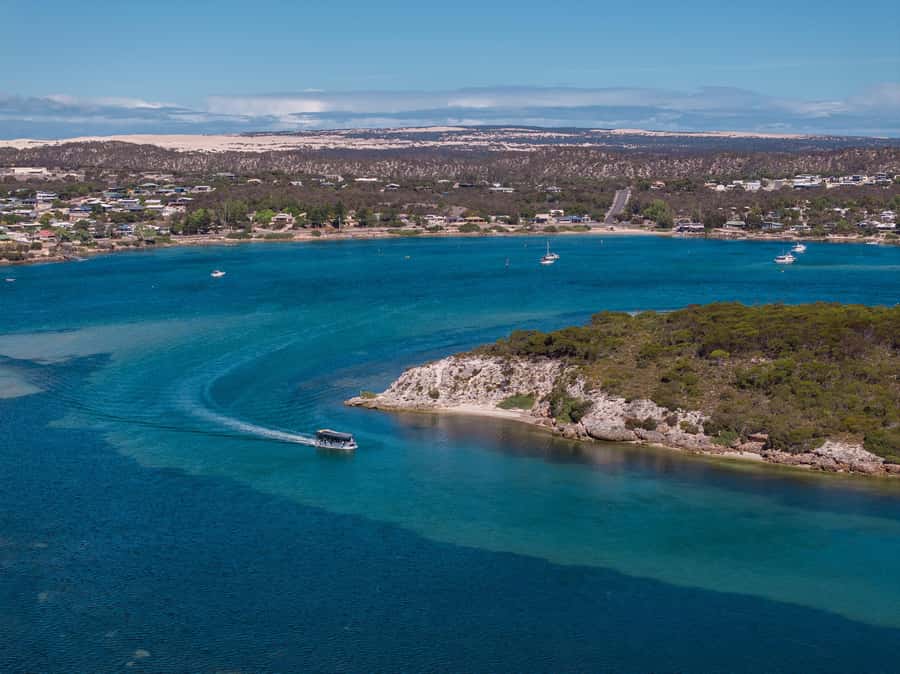 Coffin Bay: Short and Sweet Oyster Farm Tour - Native Angasi oyster reef restoration: the environmental story that makes it feel purposeful