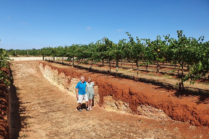 Coonawarra Half Day Wine Tour With Lunch - Price and value: what $125.52 covers and why it’s fair