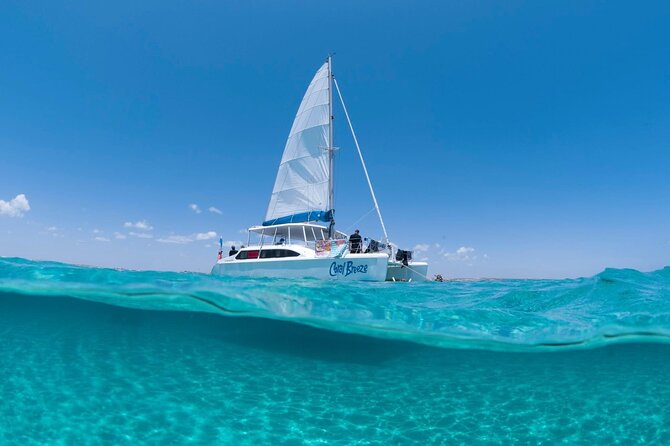 Coral Bay 2-Hour Coral Viewing and Snorkeling - Price and value: what $133 gets you in real terms