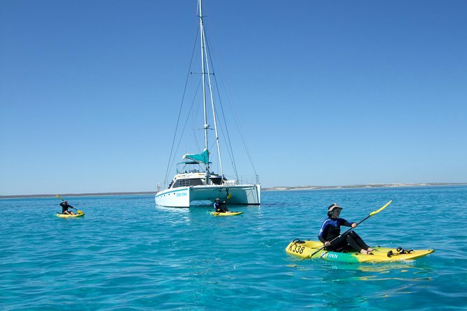 Coral Bay 3-Hour Turtle Ecotour - Price and value: what $466 buys you in Coral Bay terms