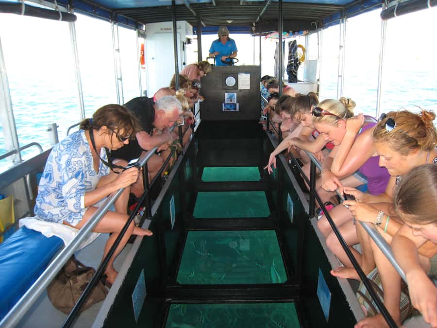 Coral Bay Glass-Bottom Boat Tour - Western Australia’s Ningaloo Reef, seen up close from Coral Bay