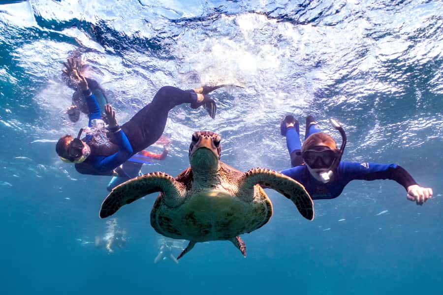 Coral Bay: Marine Eco Safari - Swim With Manta Rays - How manta-ray time works: spotting, patience, and realistic expectations