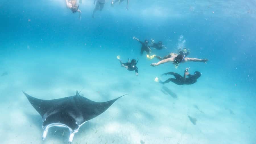 Coral Bay: Marine Eco Safari - Swim With Manta Rays - The 6-hour rhythm: Bills Bay, Bateman’s Bay, and an extra snorkel on the way back