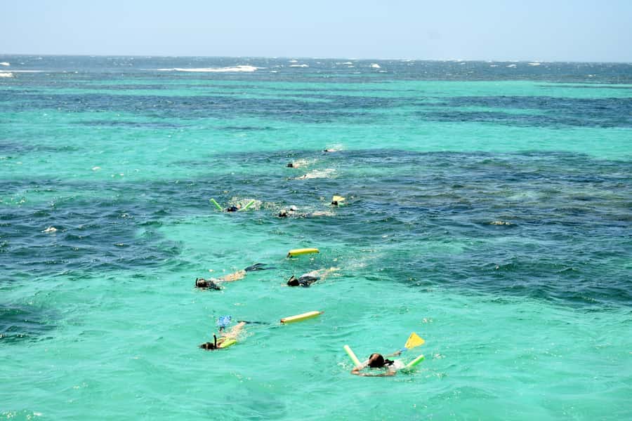 Coral Bay: Ningaloo Reef 3-Hour Turtle Ecotour - Coral Bay Turtle Eco Tour: the vibe and what makes it worth your time