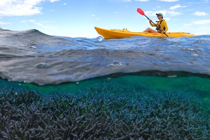 Coral By Kayak - Ningaloo Reef Half Day Kayak & Snorkel Tour - Key highlights at a glance