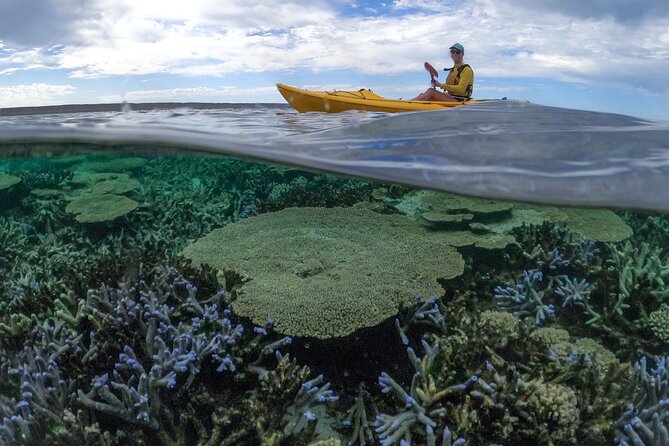 Coral By Kayak - Ningaloo Reef Half Day Kayak & Snorkel Tour - Price and what you are actually paying for