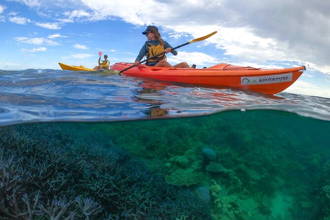 Coral By Kayak - Ningaloo Reef Half Day Kayak & Snorkel Tour - Who should book this Ningaloo kayak and snorkel tour