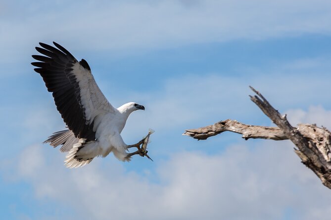 Corroboree Billabong 2.5 hour Lunch Cruise - Comfort, Weather, and What to Plan For