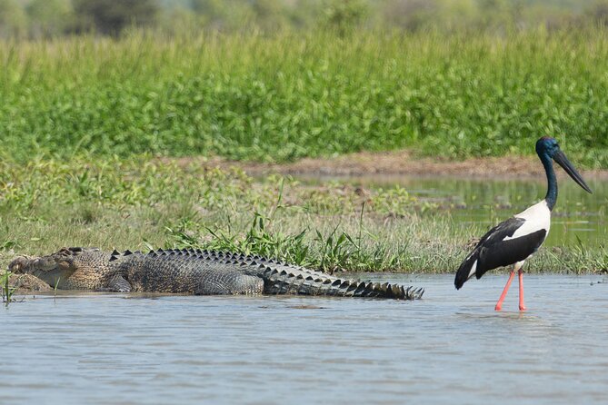 Corroboree Billabong 2.5 hour Lunch Cruise - Who This Cruise Suits Best