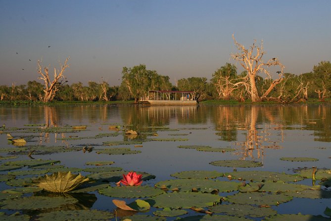 Corroboree Billabong Wetland Cruises - 2 hour Sunset Cruise - Key things to know before you go