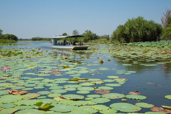 Corroboree Billabong Wetland Cruises - 2 hour Sunset Cruise - Price and value: what $71.01 really buys