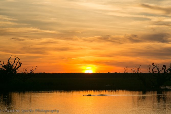 Corroboree Billabong Wetland Cruises - 2 hour Sunset Cruise - On the water: how the 2-hour cruise typically feels