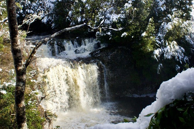Cradle Mountain Day Tour from Launceston Including Lunch - Leaving Launceston early, with pickup that actually helps