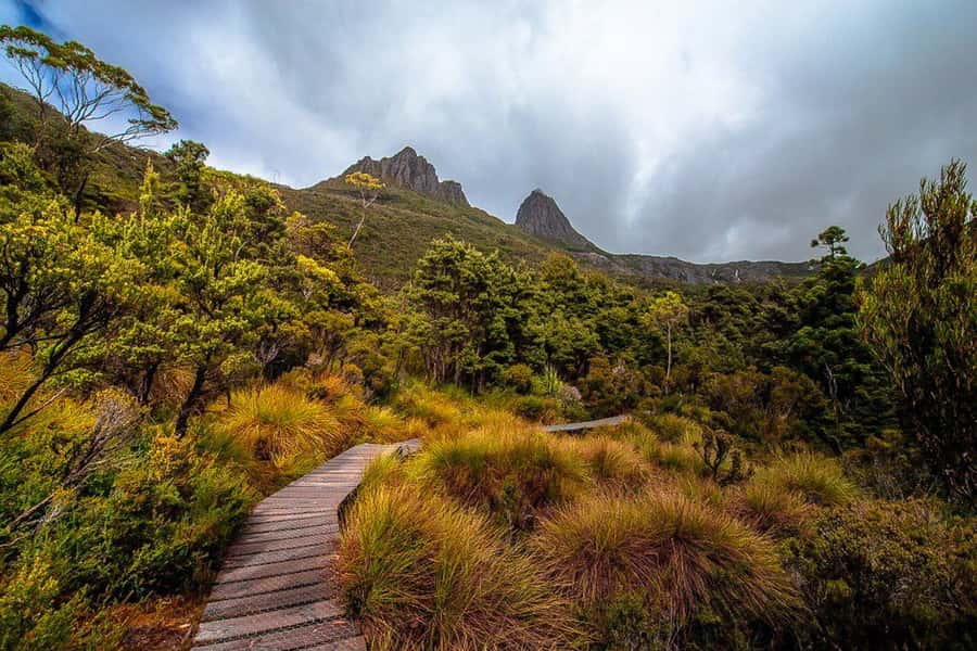 Cradle Mountain: Day Trip from Launceston with Lunch - Dove Lake, Glacier Rock, and the Boat Shed: big icons with short-walk options
