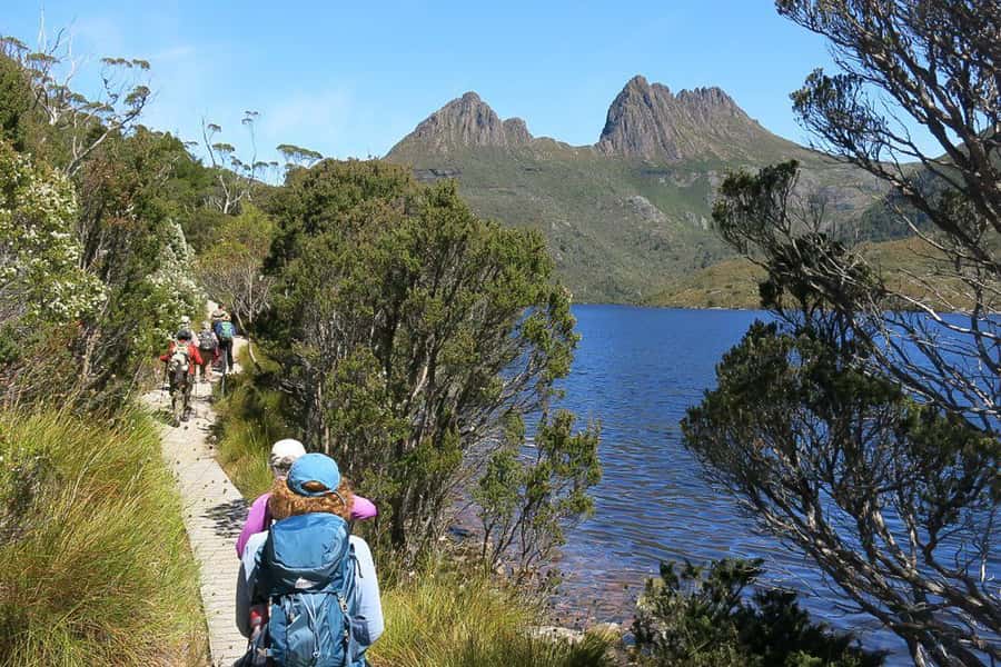 Cradle Mountain: Day Trip from Launceston with Lunch - Cradle Mountain-Lake St Clair National Park: why the guide matters