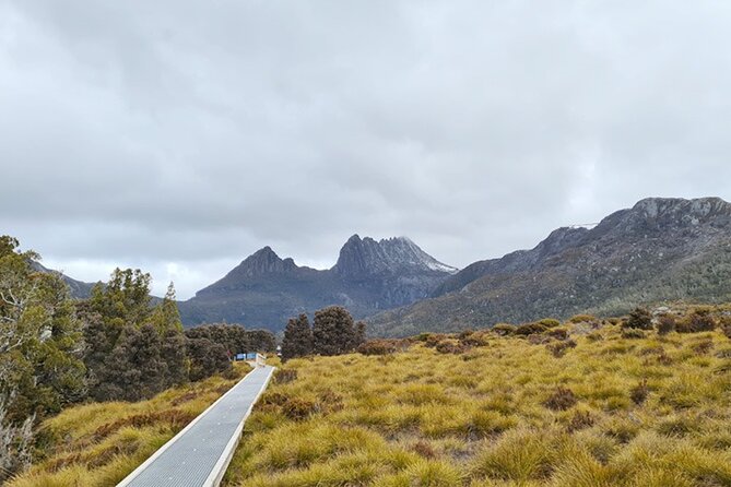Cradle Mountain National Park Day Tour from Launceston - Key highlights that make this tour work