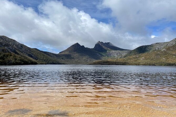 Cradle Mountain National Park Day Tour from Launceston - Ashgrove Cheese Farm: a dairy-door break that is short, not pointless