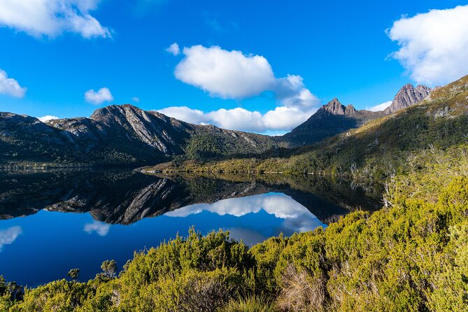 Cradle Mountain National Park Day Tour from Launceston - Pace and walking level: what moderate physical fitness really means