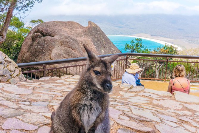Cradle Mountain OMG! Hobart to Cradle Active Day Trip - Meal planning for your own expense, plus what I’d bring