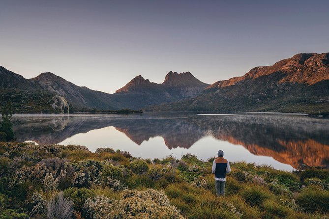 Cradle Mountain Sightseeing Tour from Devonport or Burnie - Price at $203.40: when the math actually works