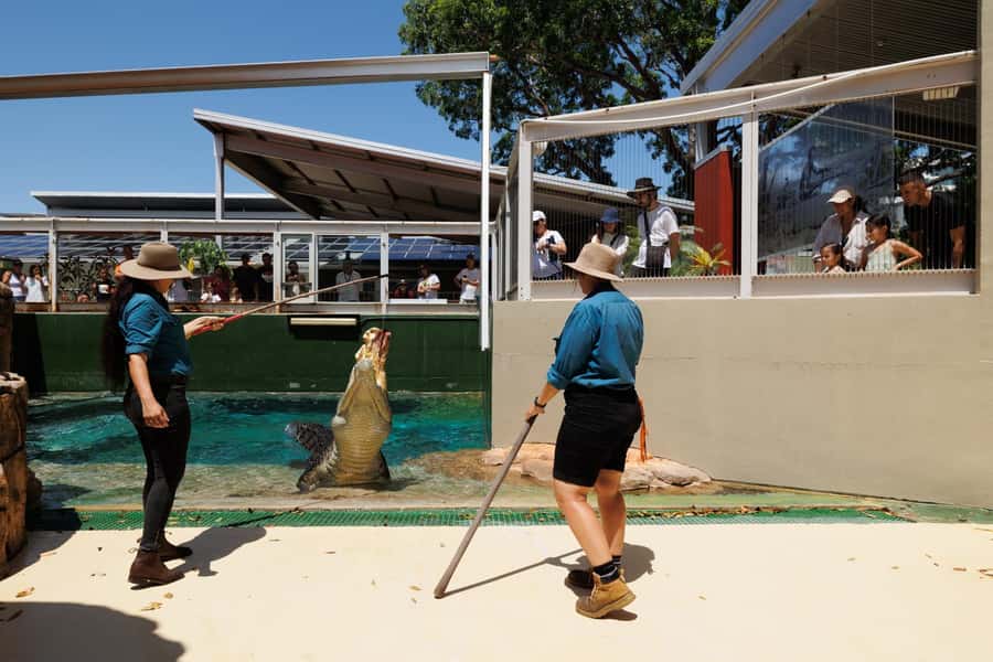 Crocosaurus Cove General Admission Ticket - Key Things To Know Before You Go
