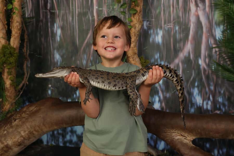 Crocosaurus Cove General Admission Ticket - Holding Baby Crocs and Meet-and-Learn Moments
