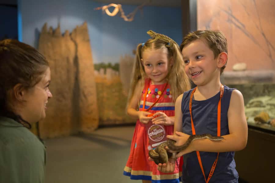 Crocosaurus Cove General Admission Ticket - Turtles and Aquariums: The Slower Side of the Visit