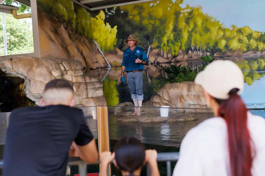 Crocosaurus Cove General Admission Ticket - Swimming With the Crocs: Worth It if You Want a Big Memory