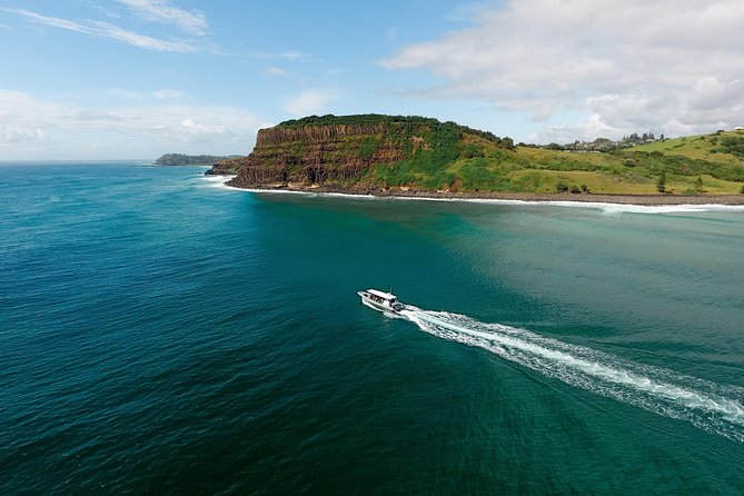 Cruise with Dolphins in Byron Bay - The dolphin spotting: what to expect during the main cruise