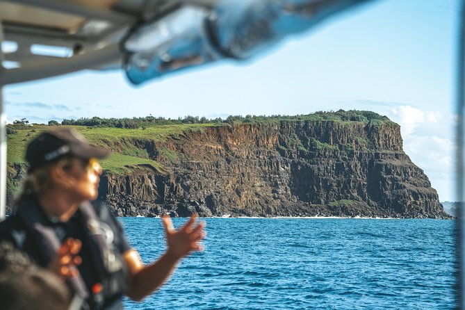 Cruise with Dolphins in Byron Bay - Timing your day: a morning start that keeps options open