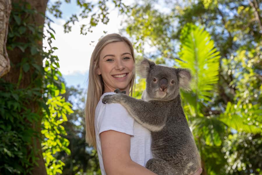 Currumbin Wildlife Sanctuary Entry Ticket - Starting point: where to arrive and how to orient quickly