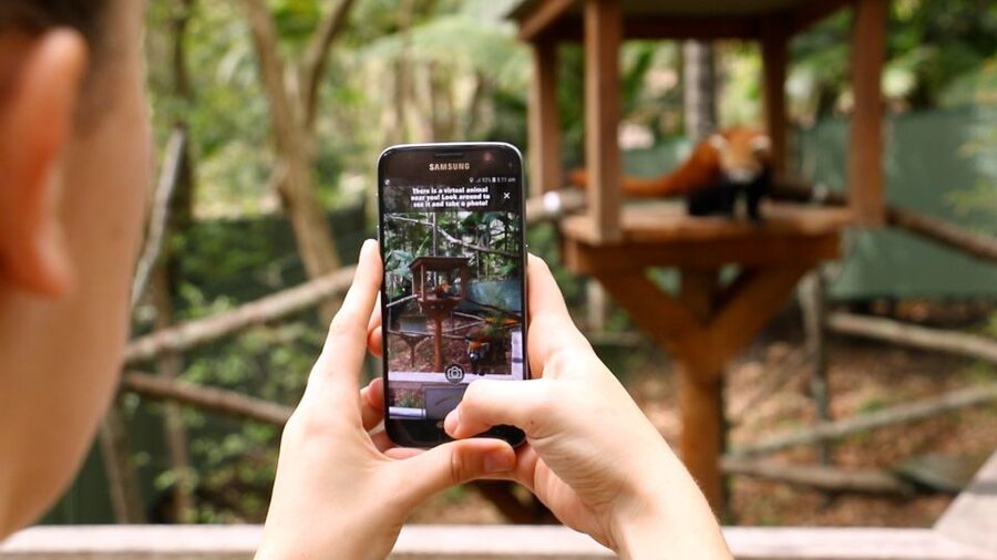 Currumbin Wildlife Sanctuary Entry Ticket - Wildlife Hospital: the conservation angle that feels tangible