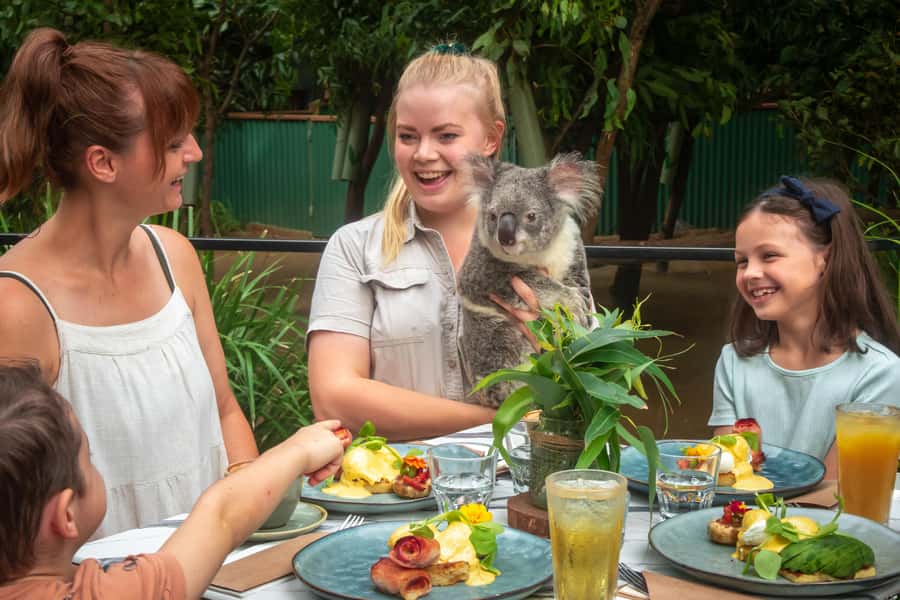 Currumbin Wildlife Sanctuary Entry Ticket - Ticket value: what you really get for $49