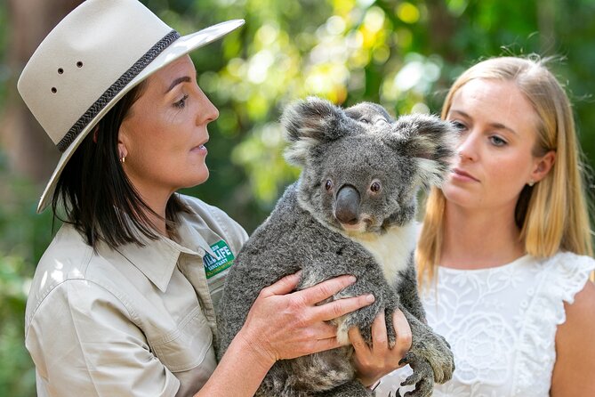 Currumbin Wildlife Sanctuary General Entry Ticket - Wild Island, Trains, and the Fun Add-Ons
