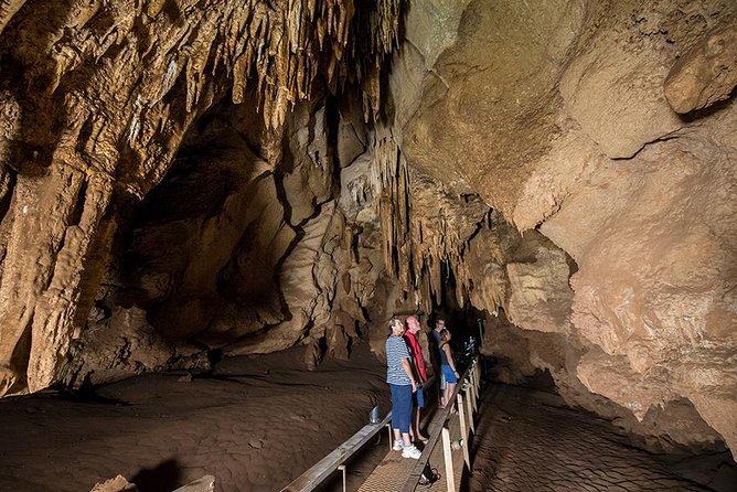 Cutta Cutta Caves Nature Park Guided Tours - Going 50 Feet Down: What You’ll See Underground